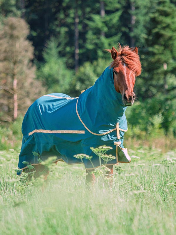 Islandpferd mit Ekzemdecke SWEET RELIEF und Halsteil auf der Koppel