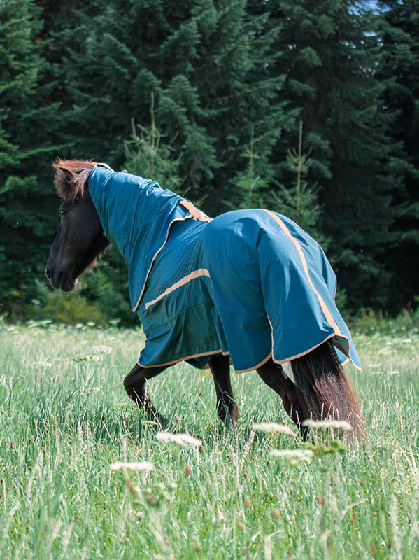 Ekzemdecke SWEET RELIEF schützt Islandpferd vor Insekten auf der Weide