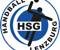 Logo HSG Lenzburg 1
