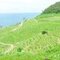 世界遺産白米千枚田の風景