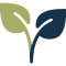 003-plant