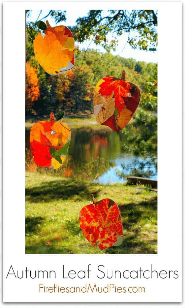 apple suncatcher fall craft made with real leaves