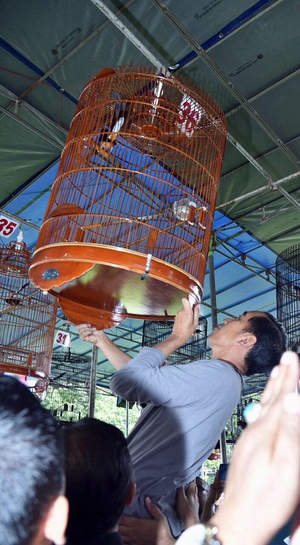 Piala Presiden Jokowi
