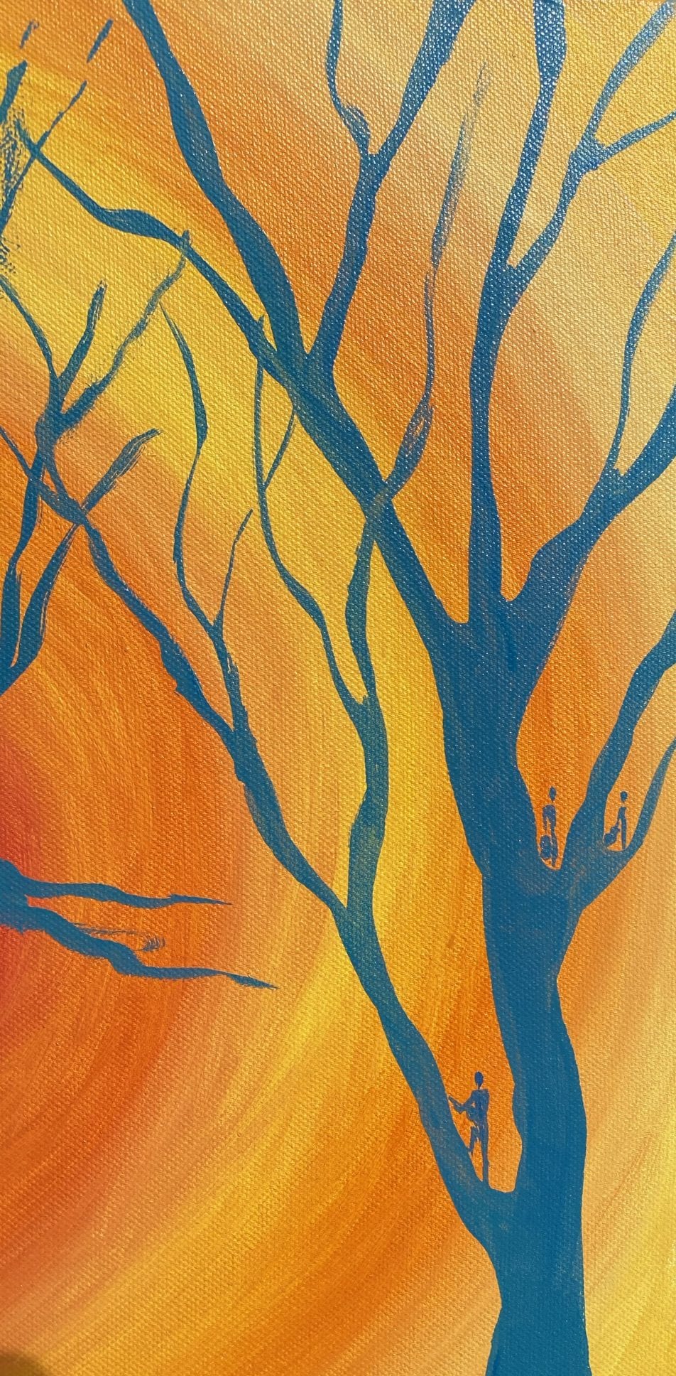 Through the trees - Image 4