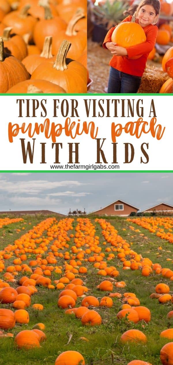 Tips For Visiting a Pumpkin Patch With Kids. Helpful tips for picking pumpkins with your family. #pumpkincraft #pumpkindecorating #fallfun