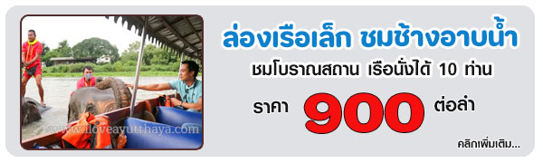 อยุธยาดูช้าง