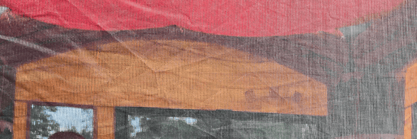 Kids playing on an inflatable bounce house rental at a birthday party in Central Kentucky