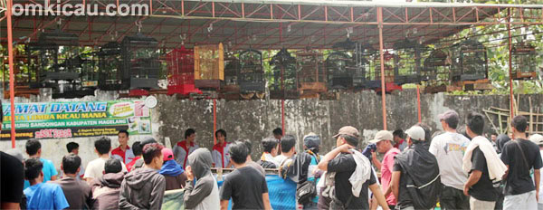 Latpres PB Bandongan Magelang