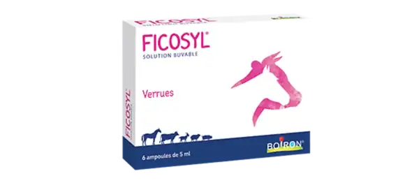 Ficosyl