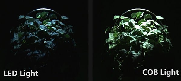 cob-vs-led-light