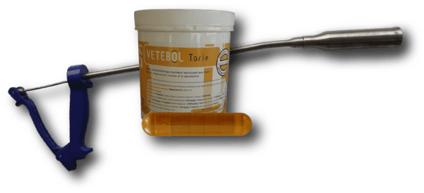 Technovet Vetebol Tarie – Vache laitière