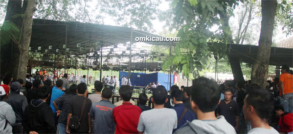 Lomba burung berkicau FreshMix Cup