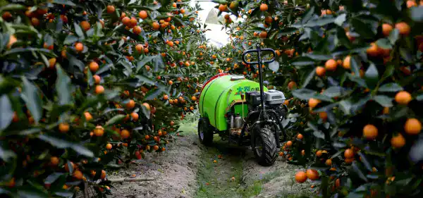 Self propelled orchard sprayer working in fruit orchard