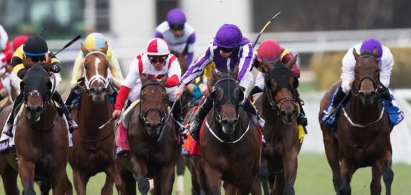 Belmont Park Picks for Friday