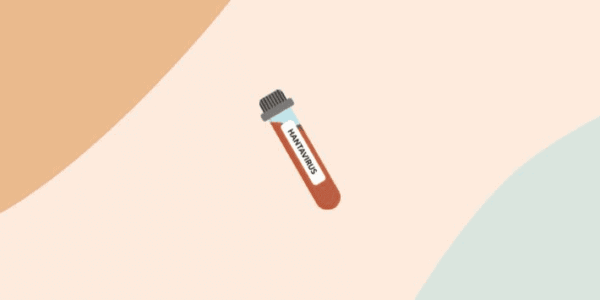 hantavirus