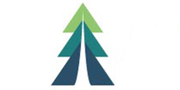 American Pacific Group
