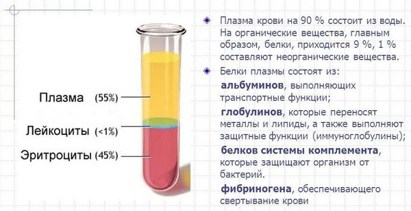 Разница между Плазмой и Сывороткой 1 Состав крови