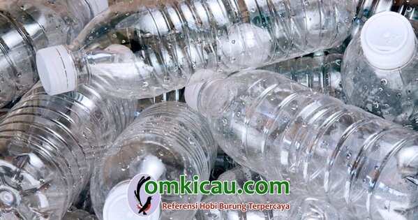 membuat tempat sarang Tips membuat tempat sarang dari botol plastik bekas