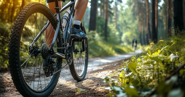 bike industry
