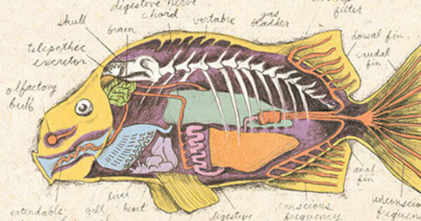 Wie ein Illustrator sich den Babelfisch vorstellt (Abb.: siehe Bildnachweis unten)