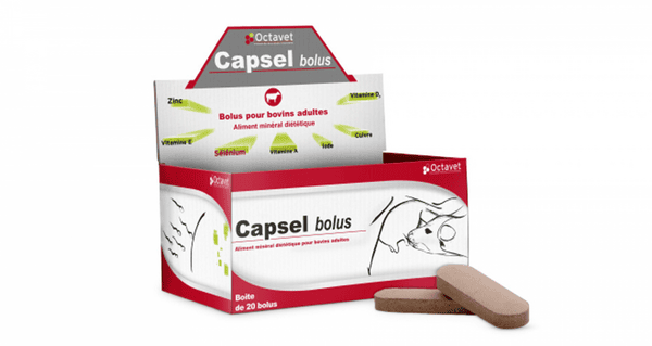 Capsel Bolus 20 Bolus - Supplément nutritionnel pour bovins