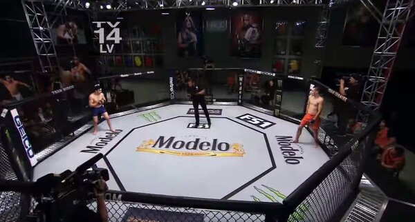 MMA Octagon Cage Rental MMA / UFC Cage rental for events in Los Angeles, Orange County, and nationwide