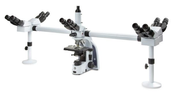 Microscopio Multicabezal iScope, Trinocular IS.1156-PLi5