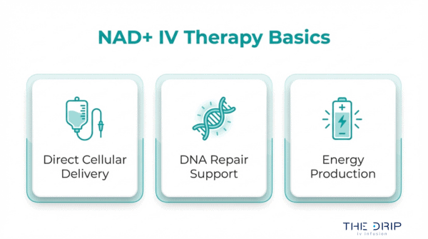 NAD IV therapy basics infographic showing direct cellular delivery, DNA repair support, and enhanced energy production benefits