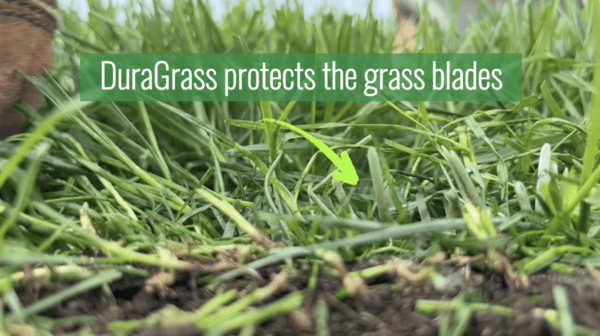 Pre-Seeded DuraGrass® Hybrid Turf - Image 4