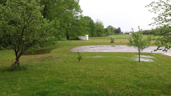puddles and ponds