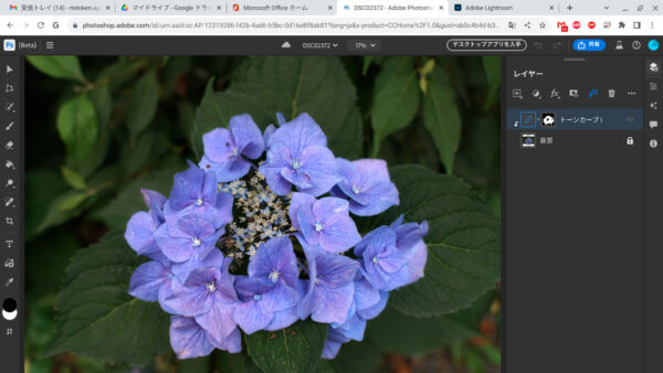Chrome OS Flex