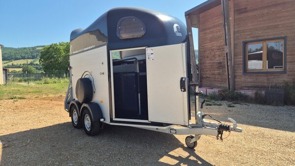 Occasion Van 2 places Gold 2 avec sellerie – Noir – Image 2