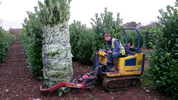movingg trees