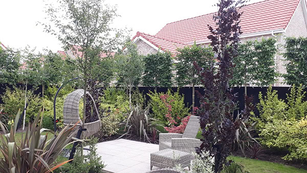 tree hedging image 