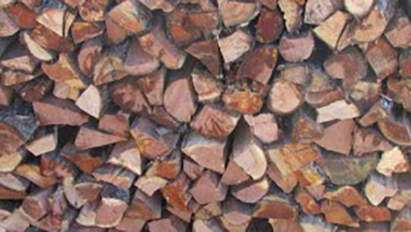 ti-tree-firewood