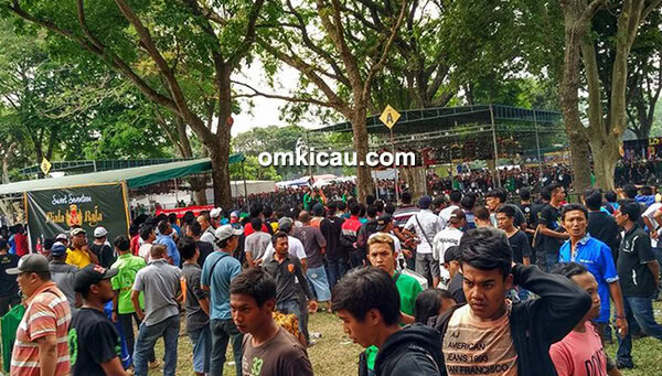 Lomba burung berkicau Piala Raja 2016