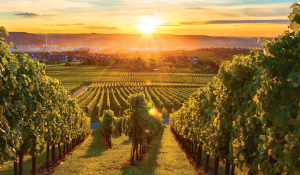 Retreats nook for guests