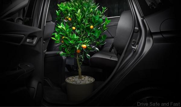 honda-fit-5