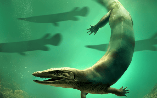 Une nouvelle espèce de dinosaure découverte dans le sud de la France