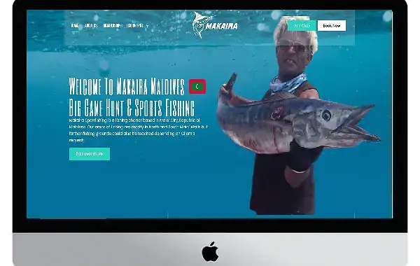 WebFlow brand website design by RS WebLabs
