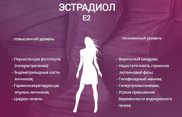 Что такое Эстрадиол 1 Уровень Эстрадиола у женщин