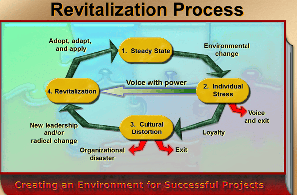 stages of a revitalization process
