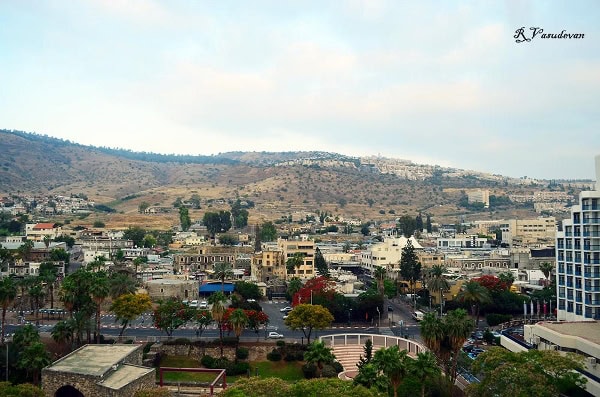 DSC_0376.2 (600x397)