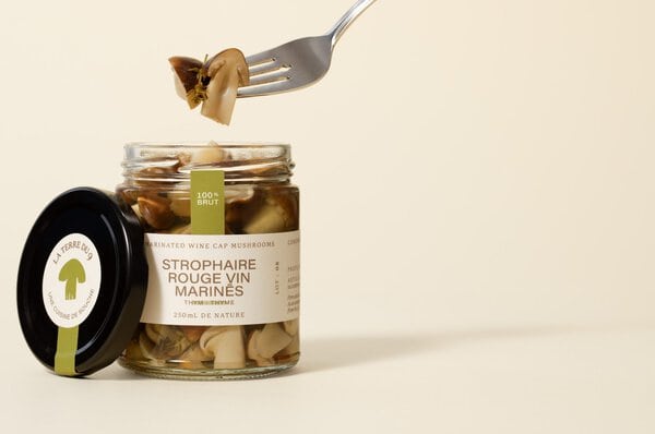 La terre du 9_Produit logo_Champignons_Strophaire_Rouge_Vin_Marines_Thym_250ml