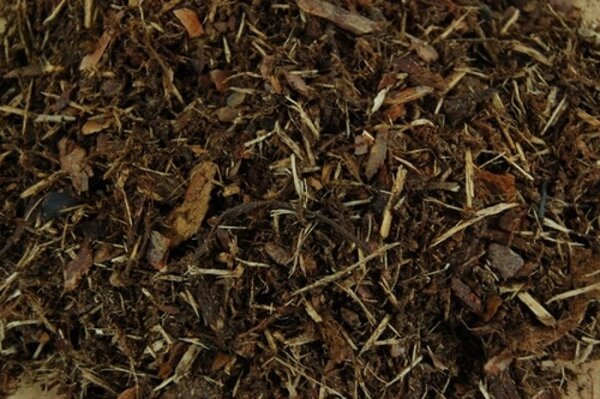 Shredded Pine