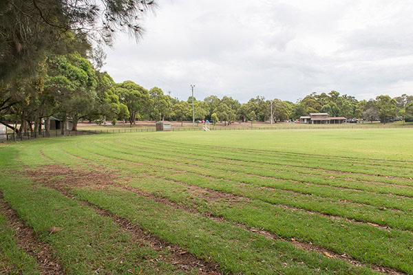 waratahsutherland 14.jpg web