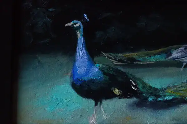 Detail of blue peacock in Pavoni oil painting by Andrea Bocedi