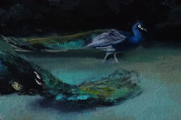 Detail of blue peacock in Pavoni oil painting by Andrea Bocedi