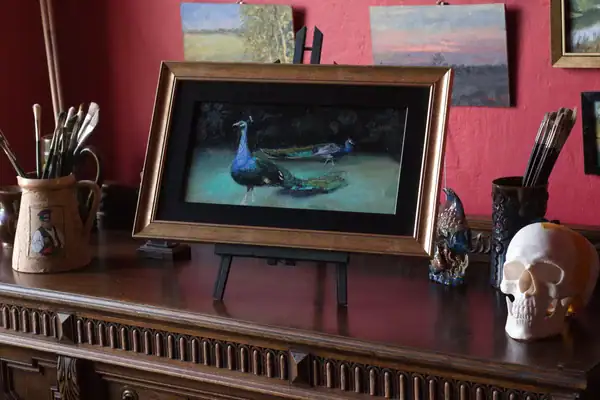 Framed peacock oil painting displayed in Andrea Bocedi art studio