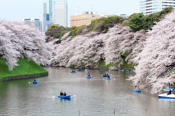 千鳥が淵